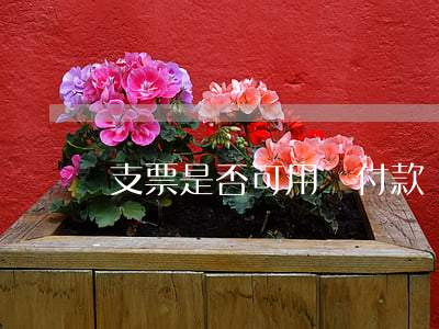 支票是否可用來付款？
